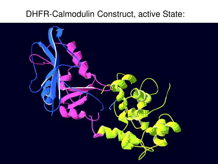 dhfr calmodulin construct active state