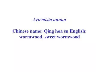 Artemisia annua Chinese name: Qing hoa su English: wormwood, sweet wormwood
