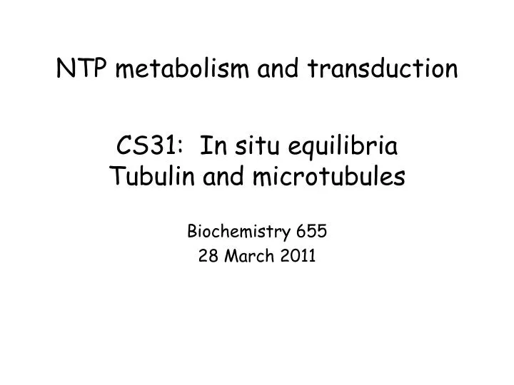 cs31 in situ equilibria tubulin and microtubules