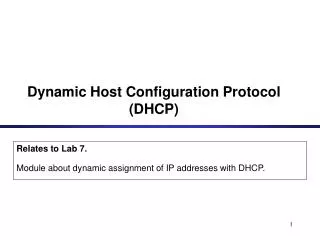 Dynamic Host Configuration Protocol (DHCP)