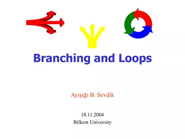 branching and loops