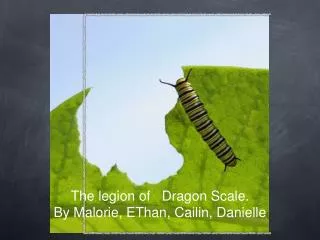 The legion of Dragon Scale. By Malorie, EThan, Cailin, Danielle