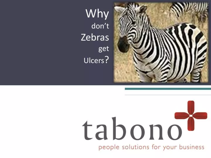 why don t zebras get ulcers