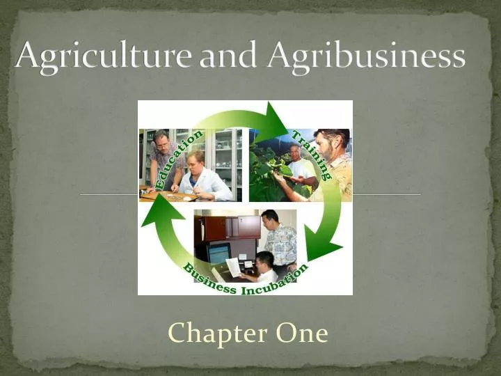 agriculture and agribusiness