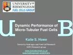 Dynamic Performance of Micro-Tubular Fuel Cells: Insights and Future Directions - slide 1