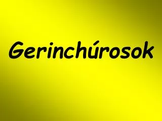 gerinch rosok