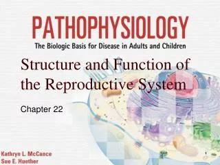 structure and function of the reproductive system