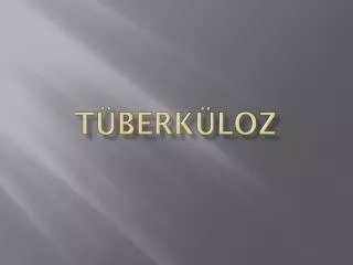 t berk loz