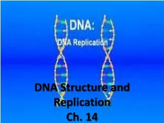DNA Structure and Replication Ch. 14