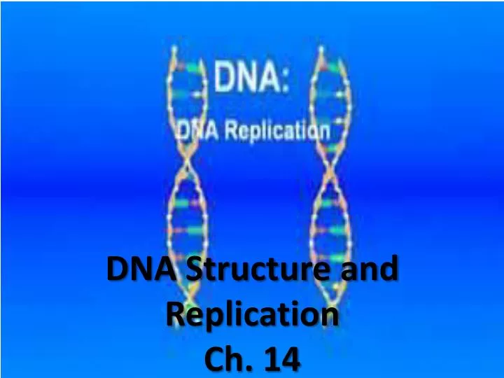 dna structure and replication ch 14