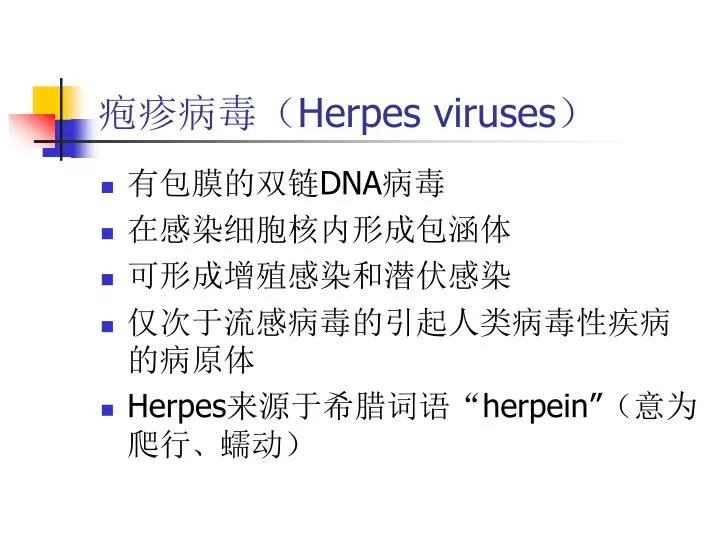herpes viruses
