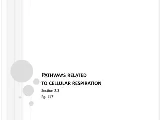Pathways related to cellular respiration