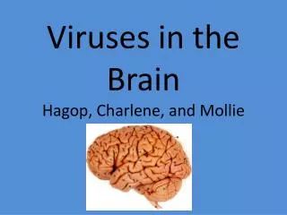 Viruses in the Brain Hagop , Charlene, and Mollie