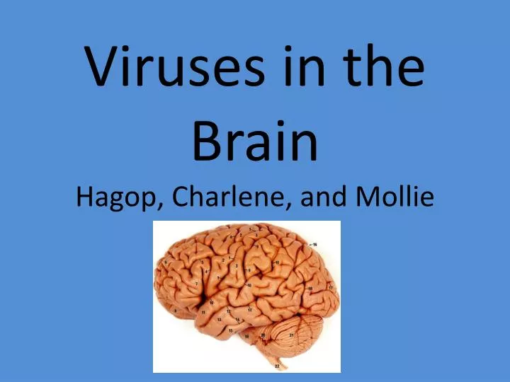viruses in the brain hagop charlene and mollie