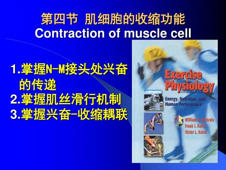 contraction of muscle cell
