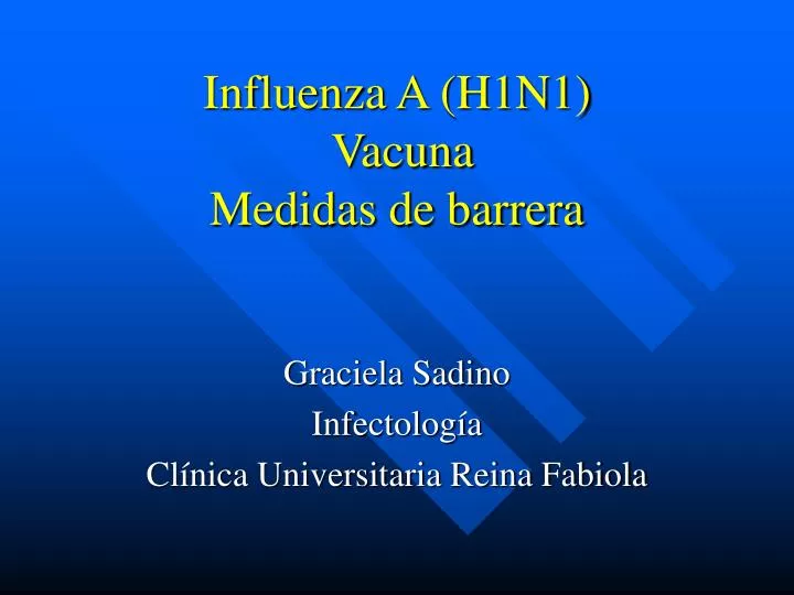 influenza a h1n1 vacuna medidas de barrera