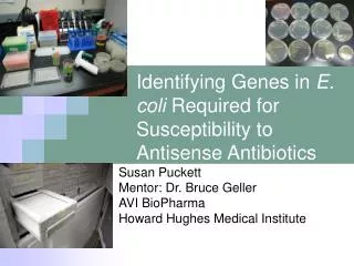 Identifying Genes in E. coli Required for Susceptibility to Antisense Antibiotics