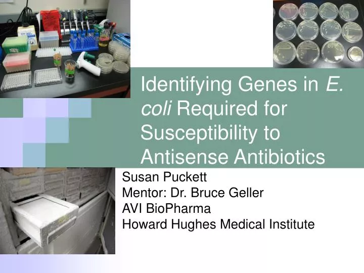 identifying genes in e coli required for susceptibility to antisense antibiotics