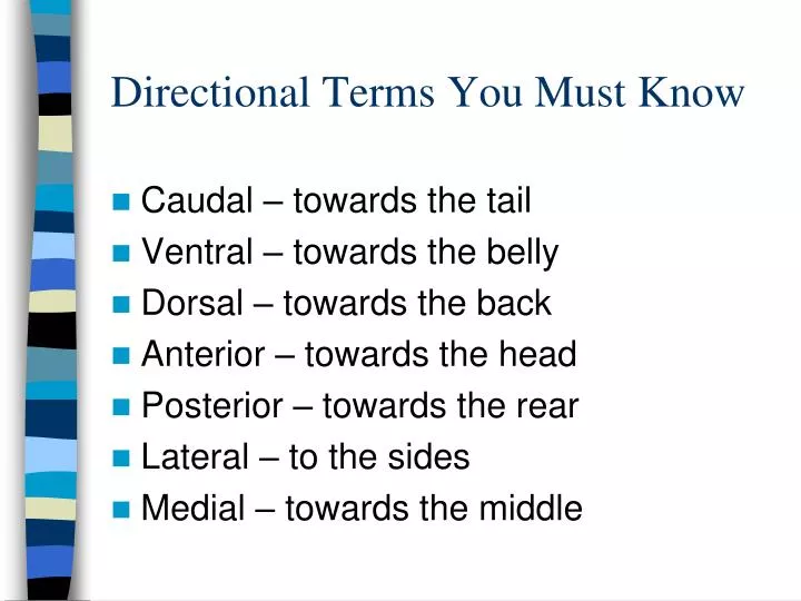 directional terms you must know