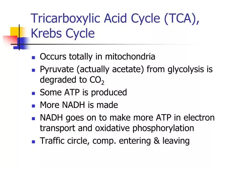 tricarboxylic acid cycle tca krebs cycle