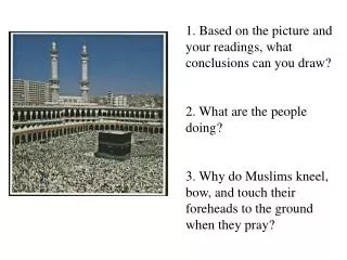 1. Based on the picture and your readings, what conclusions can you draw?