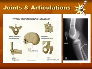 Joints &amp; Articulations