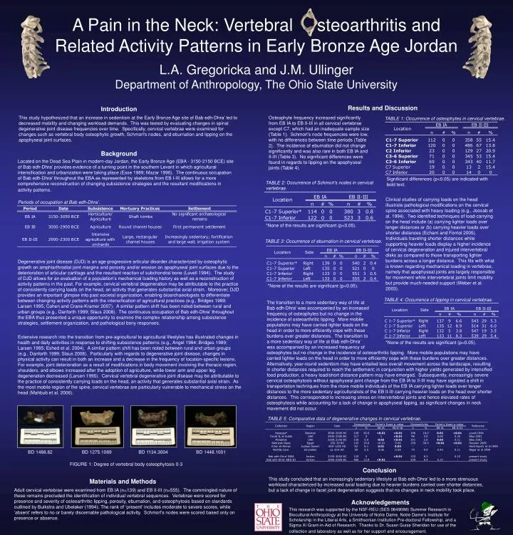 a pain in the neck vertebral steoarthritis and related activity patterns in early bronze age jordan