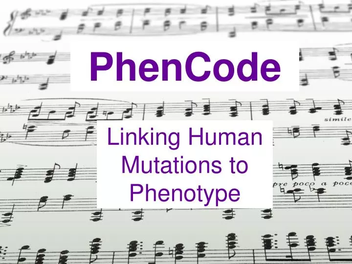 phencode