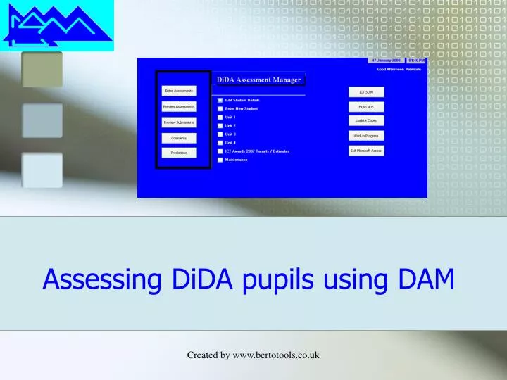 assessing dida pupils using dam