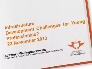 Infrastructure Development Challenges for Young Professionals? 22 November 2013