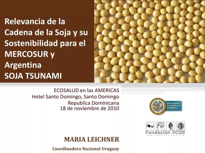 relevancia de la cadena de la soja y su sostenibilidad para el mercosur y argentina soja tsunami