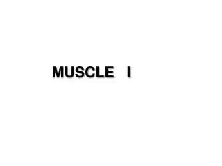 MUSCLE I