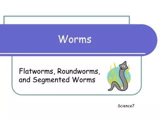 Worms