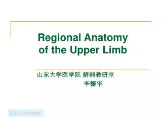 Regional Anatomy of the Upper Limb