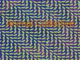 Animal Collective