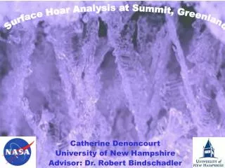 Surface Hoar Analysis at Summit, Greenland
