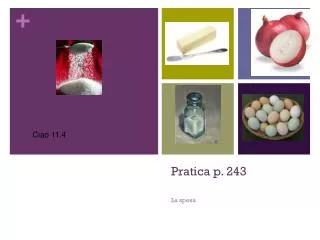 pratica p 243
