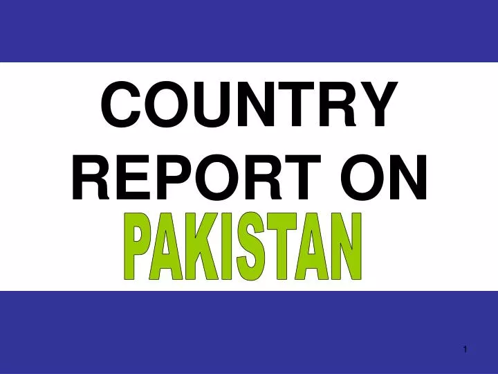 country report on
