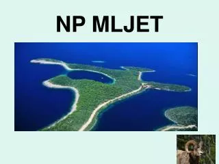 np mljet