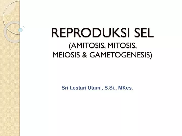 reproduksi sel amitosis mitosis meiosis gametogenesis
