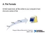 A. File Formats - slide 1