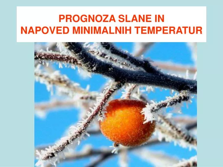 prognoza slane in napoved minimalnih temperatur