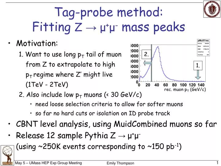 tag probe method fitting z mass peaks