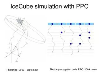 IceCube simulation with PPC