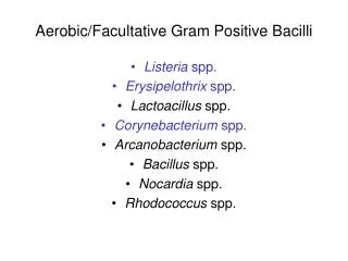 Aerobic/Facultative Gram Positive Bacilli
