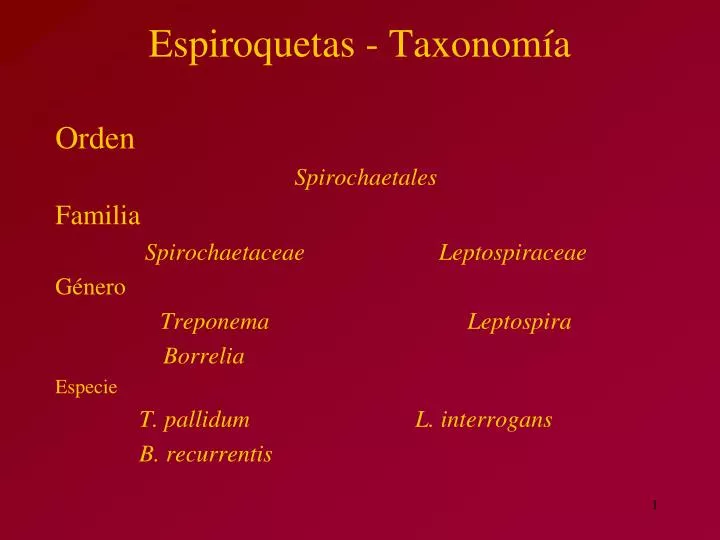 espiroquetas taxonom a