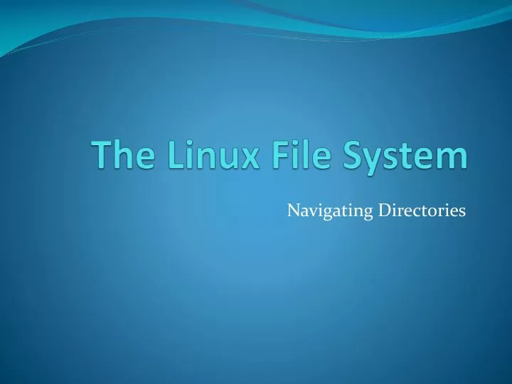 the linux file system