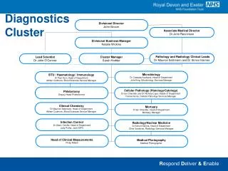 Diagnostics Cluster