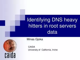 Identifying DNS heavy hitters in root servers data