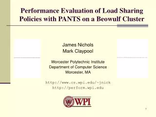 Performance Evaluation of Load Sharing Policies with PANTS on a Beowulf Cluster